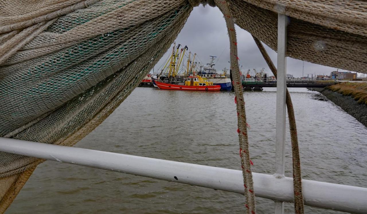Schierzicht Logement Lauwersoog Exterior foto